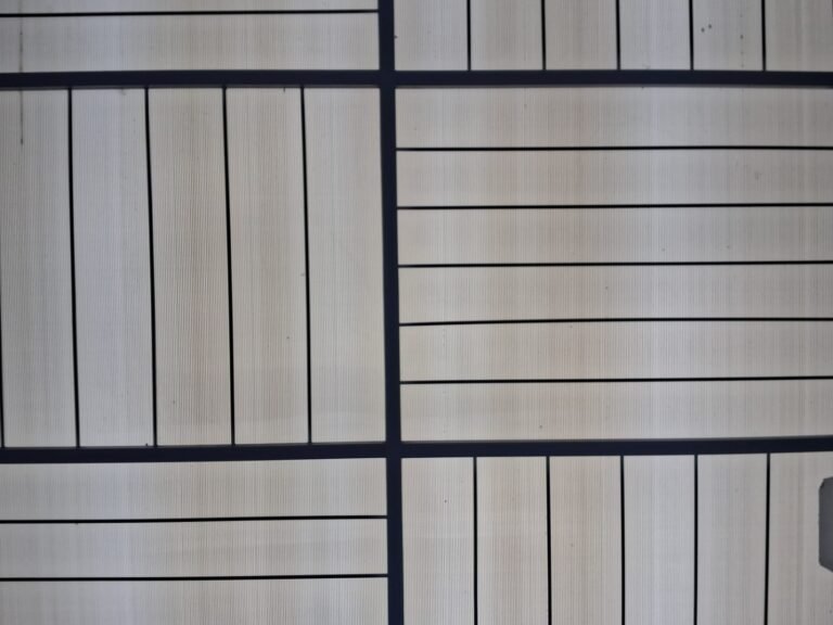 WhatsApp Image 2025-11-16 at 8.16