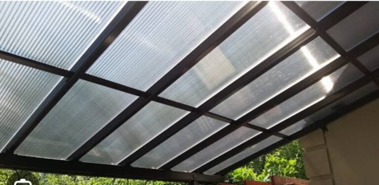 WhatsApp Image 2023-11-20 at 6.14